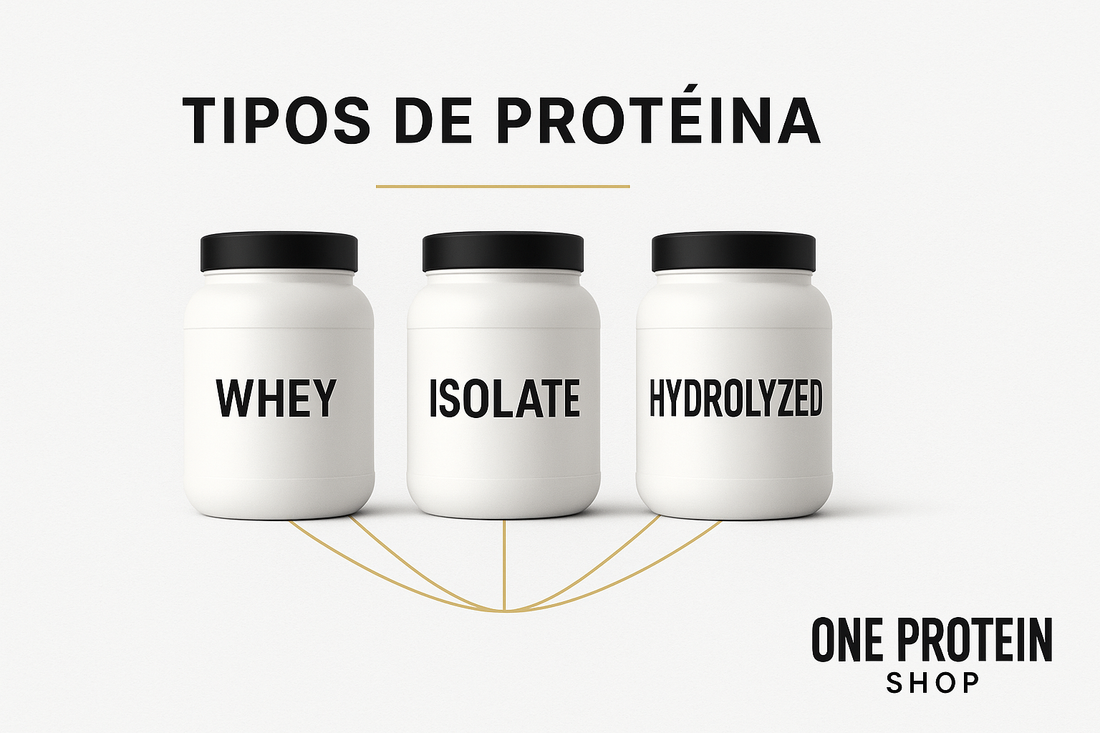 Tipos de Proteína: Whey, Isolada, Hidrolisada — qual é a ideal para ti?